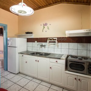 019-ELENIS-APRTS-Αντιγραφή